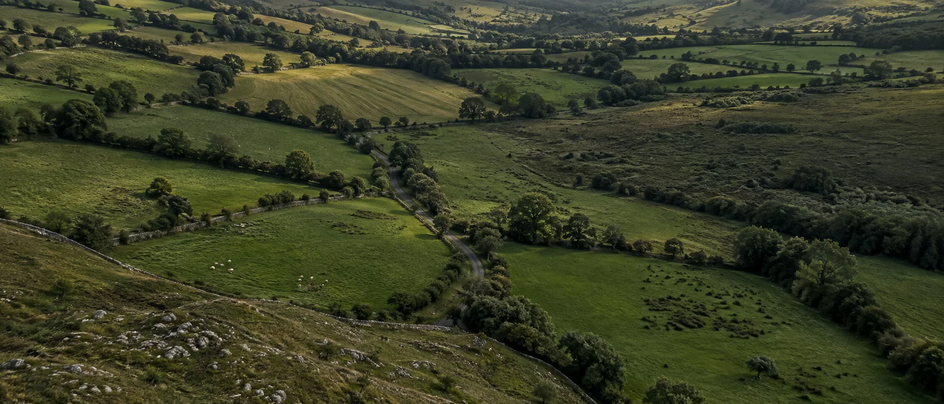Illustrative aerial view of fields divided by hedgerows and a narrow road